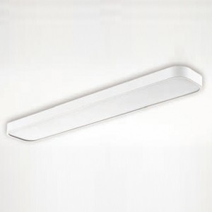 Á¶ÀÌŰ³Ý:ÄÚÄÞ LED ½Ã½ºÅÛ ÁÖ¹æµî 50W ÁÖ±¤¼½