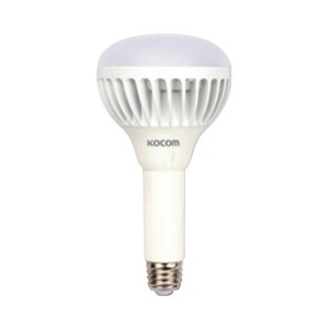 Á¶ÀÌŰ³Ý:ÄÚÄÞ LED ¹úºê EL PAR30 15W ÁÖ±¤»ö